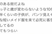 【悲報】フェミさん、秋葉原のメイドに"レスバトル"を挑んでしまうｗｗｗｗｗｗ