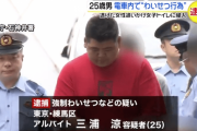 25歳男さん、電車内で20代女性のお●ぱいや下半身を20分間触り続け逮捕される
