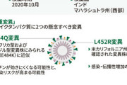 【悲報】日本さん、インド変異株を大量入荷