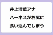 井上清華アナ｜ハーネスがお尻の割れ目に食い込んでしまうツリークライミング