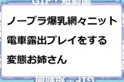 ノーブラ爆乳網々ニットで電車露出プレイをする変態お姉さんGIF