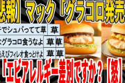 【2ch面白いスレ】【悲報】マック「グラコロ発売！」敵「エビアレルギー差別ですか？【怒】」ｗｗｗｗｗｗｗｗｗ　聞き流し/2ch天国