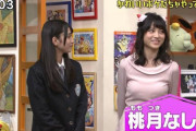 コスプレイヤーなしこさん、子供向けポケモン番組にもかかわらずお乳強調して出演してしまうｗｗｗ