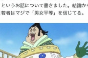 【正論】最近の十代「今の日本は女が優遇されすぎ。女は特権階級。女が憎い」
