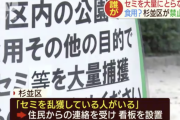 【画像】食用にセミを乱獲してる連中の正体