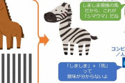 【悲報】人間「“シマウマ”…？シマシマ模様の馬やろなぁ」AI「シマ…ウマ…？」