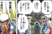 『ワンピース』で一番好きな編、なんG民の9割が一致してしまうｗｗｗｗｗｗｗｗｗｗｗｗ