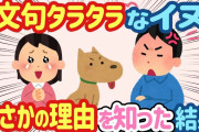 【2ch ほっこり】犬が家族旅行中に文句を言う→夫「じゃあ帰れ」と言ったが、その理由が分かった結果…