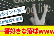 プロ野球で一番好きな落球教えてｗｗｗｗｗ【2ch,なんJまとめ,なんG,5ch】