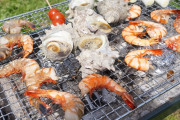 【画像】芹那のバーベキュー、なんG民の99%が参加したくなるｗｗｗ