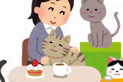 近所の猫カフェの推し猫