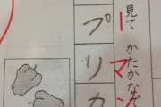子供「5+3=7」母親「色に騙されないで」