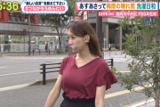 【元AKB】福岡放送・小林茉里奈アナの乳でっけええええええ
