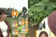 ◆【GIF画像あり】巨乳気象予報士の今井春花がしゃがみ込んで黒パンチラ放送事故ｗｗｗ
