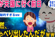 【2ch不思議なスレ】うちの猫ちゃんが天国に行く前にしゃべり出したんだがww【ゆっくり解説】