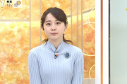 【画像】TBSグッとラックの若林有子アナのニットおっぱいたまらん
