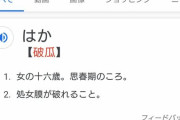アニメヒロイン「この痛み…破瓜の痛みを思い出します」ワイ(破瓜ってどういう意味や…？)ｽﾏﾎﾎﾟﾁｰ