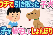 【2ch ほのぼの】子犬を引き取ってきて自宅で飼い始めたのだが、小学生の息子が学校から帰ってくるとなぜかしょんぼりする…