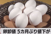 【朗報】遂に卵の値上がりが止まる！三ヶ月ぶりに下落