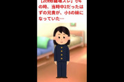【2ch修羅場スレ】小6の時当時中2だったはずの兄貴が小5の妹になってた
