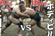 相撲ってやっぱボディビルダーみたいな身体じゃダメなのか