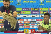 【悲報】ブラジル代表、記者会見に乱入した猫?を「残酷に始末」
