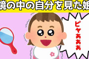 【2chほのぼの】同年代の子に会ったことがない0歳の娘を、鏡の中の自分を会わせてみた結果www