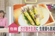 【悲報】若者のワサビ離れ、ガチで深刻になる