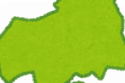 広島県とかいうでかい田舎