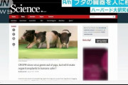 【朗報】アメリカでブタの腎臓の人間への移植手術が大成功　全米数十万人の移植待ち患者は今後ブタとのハイブリッド人間へ