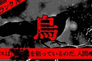 【2ch怖い話】人間をついばむカラス【恐怖ランクA+】