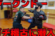 YouTube格闘家「躰道！ジークンドー！影武流！忍術！」ワイ「うおおおお！！」
