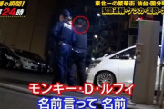 【悲報】モンキーDルフィ、仙台で逮捕