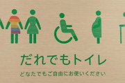 【決断】LGBT「お願いです、女子トイレを使う権利をください」女性「ふざけんな！！」ワイら「…」