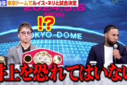 【ボクシング】井上尚弥の対戦相手ネリ「井上はこの試合を受けるべきではなかった」「勝っても何も得るものはない」