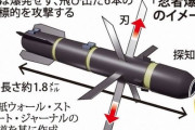【凶悪】漢 米国、アルカイダ指導者を"回転刃ミサイル"で抹殺