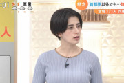 【画像】ホラン千秋キャスターの乳、ケツがエッチ過ぎる