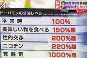 【覚せい剤90錠を輸入した女子大生、覚せい剤じゃなくてミントだった】