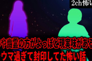 【2ch怖いスレ】呪いや幽霊の方がよっぽど現実味があるトラウマ過ぎて封印してた怖い話【ゆっくり解説】