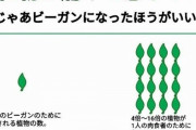 【悲報】ヴィーガン、『植物はいいのか論』を完全論破ｗｗｗｗ
