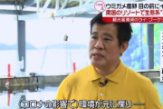 【朗報】新型コロナウイルスさん、海洋生物の生態系をも再生させてしまうｗｗｗ