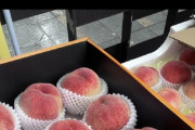 【画像】🍑中国の桃、安すぎる🍑