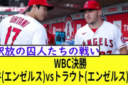 【WBC決勝】大谷(エンゼルス)vsトラウト(エンゼルス)ww　【なんｊ反応　2ｃｈ】