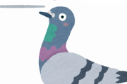 【衝撃】ネット民「なんか鳩がめっちゃいたんだけどw」ﾊﾟｼｬ→