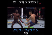【閲覧注意】カーフキックがUFCで防御される！！堀口恭二オワタｗｗｗｗｗｗｗｗｗｗｗｗｗｗｗｗｗｗｗｗｗｗｗｗｗｗｗｗｗｗｗｗｗｗ