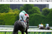 【動画あり】日本ダービー中に競走馬が急死・・・・・・【2番人気スキルヴィング】