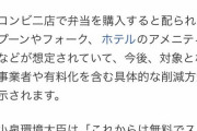 【悲報】小泉進次郎「ホテルのアメニティーも有料化します」