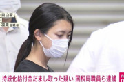 【画像】超絶美人OL、給付金詐欺で逮捕