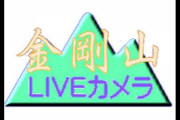 【悲報】金剛山のライブカメラでもついに「挨拶」の文化が定着する