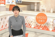 【画像】ホラン千秋キャスター、胸がとんでもなくデカくなるｗｗｗｗｗｗ